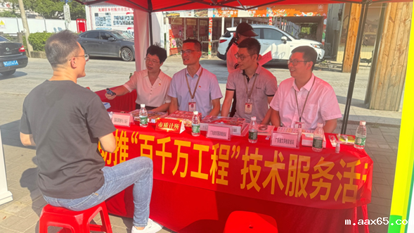 1740020137728584.png d.png